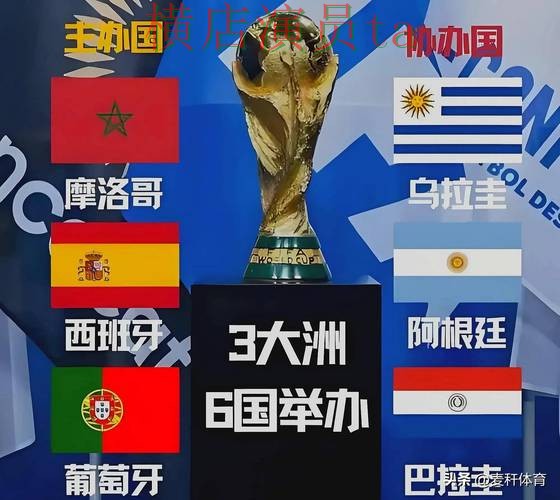 世界杯全球总决赛背景下的世界杯投注平台推荐推荐与安全入口